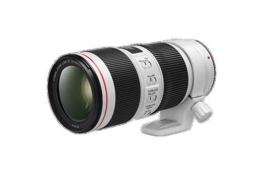 Canon EF 70-200mm f/4L USM Telephoto Zoom Lens for Canon SLR Camera